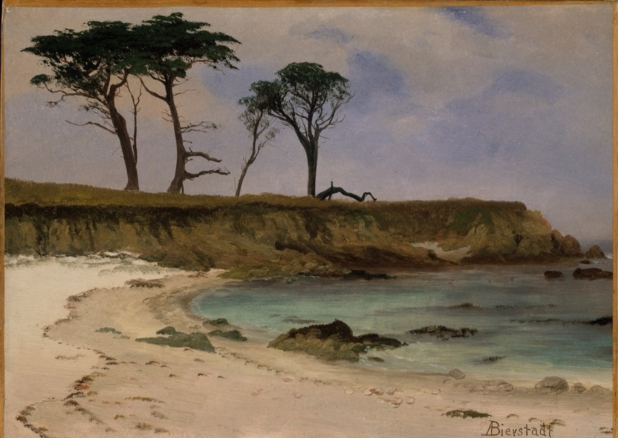 海滨小湾(Sea Cove)